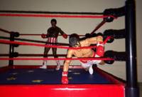 Rocky Vs Apollo Boxing Ring (Rocky) Custom Diorama / Playset