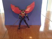 Red Robin (DC Universe) Custom Action Figure