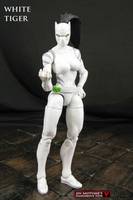 White Tiger (Marvel Legends) Custom Action Figure