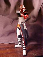 Arc Trooper (Star Wars) Custom Action Figure