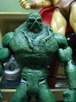 Swamp Thing DC Universe (DC Universe) Custom Action Figure