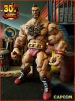 Zangief (Marvel VS Capcom) (Street Fighter) Custom Action Figure