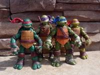 Teenage Mutant Ninja Turtles (Teenage Mutant Ninja Turtles) Custom Action Figure