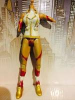 The Canary, Arrow (DC Universe) Custom Action Figure