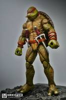 Raphael Teenage Mutant Ninja Turtle (Teenage Mutant Ninja Turtles) Custom Action Figure