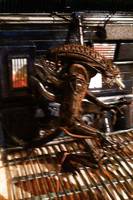 Aliens Diorama/Display Set (Aliens) Custom Diorama / Playset