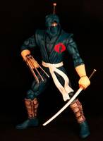 Cobra Ninja Viper (G.I. Joe) Custom Action Figure