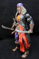 Captain Sparrow (Masters of the Universe) Custom Action Figure