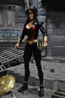 Wonder Woman (DC Universe) Custom Action Figure