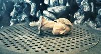 David 8 from Prometheus (Aliens) Custom Action Figure