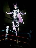 Huntress (Batman) Custom Action Figure
