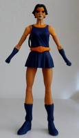 NIGHTSHADE Eve Eden Suicide Squad Member & Steve Ditko Style (DC Universe) Custom Action Figure
