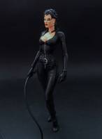 Selina Kyle (Catwoman) (Batman) Custom Action Figure