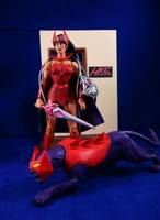 Catra in Panther Form (Masters of the Universe Classics) (Masters of the Universe) Custom Action Figure