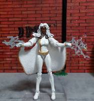 Storm (Marvel Universe) Custom Action Figure