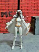 Storm (Marvel Universe) Custom Action Figure