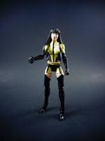 Silk Spectre (Watchmen) Custom Action Figure