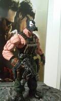 Bane: the Masked Man (DC Universe) Custom Action Figure