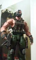 Bane: (TDKR) (Batman - Dark Knight Rises) Custom Action Figure