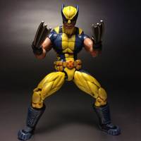 Savage Wolverine (Marvel Universe) Custom Action Figure