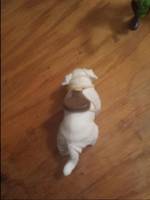 Naga (Avatar the Last Airbender) Custom Miniature / Figurine