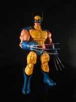 Wolverine (Crazy Buff) (Marvel Legends) Custom Action Figure