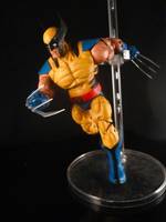 Wolverine (Crazy Buff) (Marvel Legends) Custom Action Figure