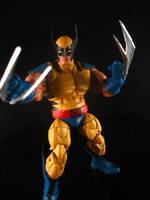 Wolverine (Crazy Buff) (Marvel Legends) Custom Action Figure