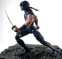 Ryu Hayabusa (Ninja Gaiden) Custom Action Figure