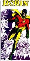 ROBIN EARTH-2 Dick Grayson Custom JSA & JLA Member (DC Universe) Custom Action Figure