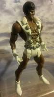 Tyroc (DC Universe) Custom Action Figure