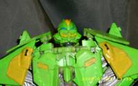 Waspinator (Transformers) Custom Action Figure