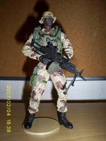 SF Gunner Desert Ops (Special Forces) Custom Action Figure