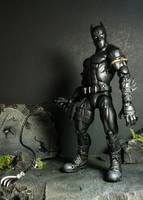Black Panther (Street Fighter) Custom Action Figure