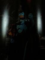 Night Raven (DC Universe) Custom Action Figure