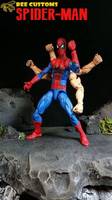 Spider-Man (6 Arms) (Marvel Legends) Custom Action Figure