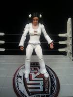 DC Phantom Girl (DC Universe) Custom Action Figure