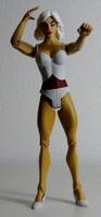 DREAM GIRL Nura Nal Legion of Super-Heroes (DC Universe) Custom Action Figure