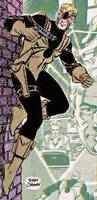 TARANTULA John Law Custom All-Star Squadron (DC Direct) Custom Action Figure