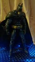 Batman Arkham Custom (DC Universe) Custom Action Figure