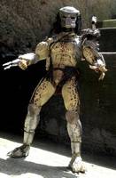 Predator Warrior (Predator) Custom Action Figure