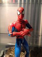 Spider-Man (Spider-Man) Custom Action Figure