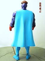 The Protector (DC Direct) Custom Action Figure