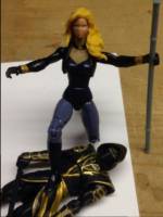 Black Canary / Artemis (DC Infinite Heroes) Custom Action Figure