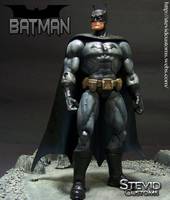 Batman (DC Universe) Custom Action Figure