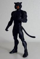 TOMCAT Thomas Bronson Justice Society of America Widcat's Son (DC Universe) Custom Action Figure