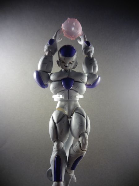 dbz sh figuarts custom