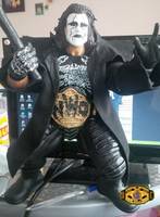Sting (Wrestling) Custom Action Figure