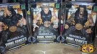 The Shield Ring Giants (Wrestling) Custom Action Figure