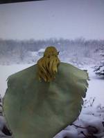 Snowbird (Marvel Universe) Custom Action Figure